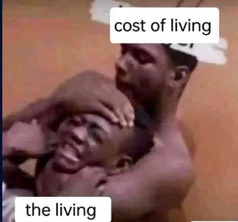 This cost of living sha wan finish me | MirrorLog